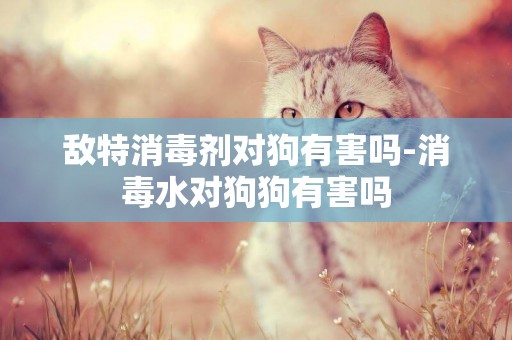 敵特消毒劑對狗有害嗎-消毒水對狗狗有害嗎