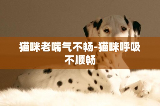 貓咪老喘氣不暢-貓咪呼吸不順暢