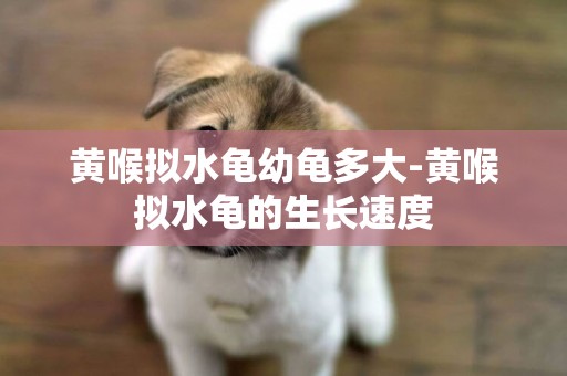 黃喉擬水龜幼龜多大-黃喉擬水龜的生長速度