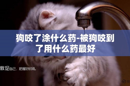 狗咬了涂什么藥-被狗咬到了用什么藥最好