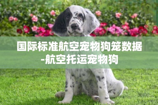國際標準航空寵物狗籠數據-航空托運寵物狗