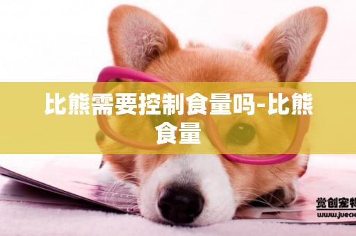 比熊需要控制食量嗎-比熊食量