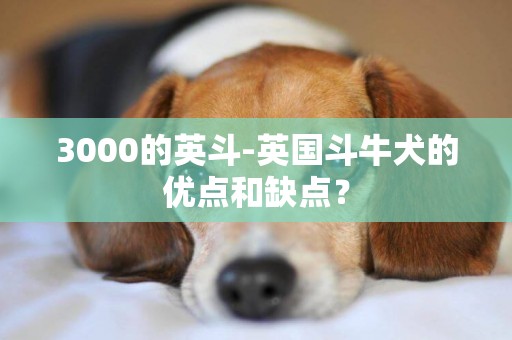3000的英斗-英國斗牛犬的優點和缺點？