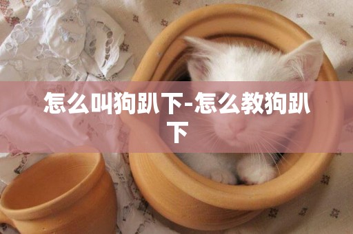 怎么叫狗趴下-怎么教狗趴下