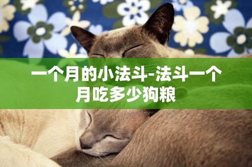 一個月的小法斗-法斗一個月吃多少狗糧