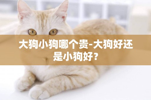 大狗小狗哪個貴-大狗好還是小狗好？