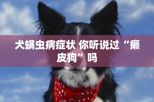 犬螨蟲病癥狀 你聽說過“癩皮狗”嗎