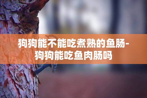 狗狗能不能吃煮熟的魚腸-狗狗能吃魚肉腸嗎