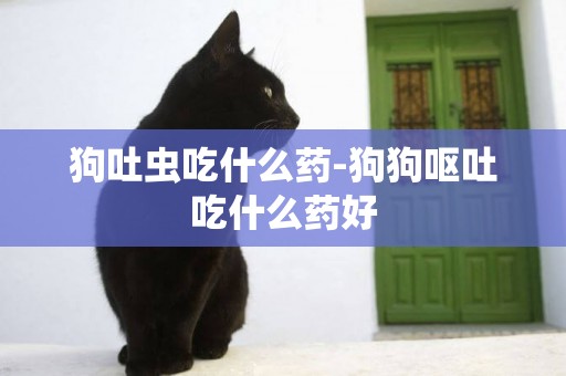 狗吐蟲吃什么藥-狗狗嘔吐吃什么藥好