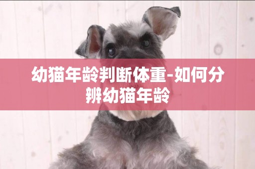 幼貓年齡判斷體重-如何分辨幼貓年齡