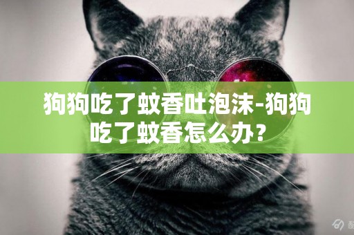 狗狗吃了蚊香吐泡沫-狗狗吃了蚊香怎么辦？