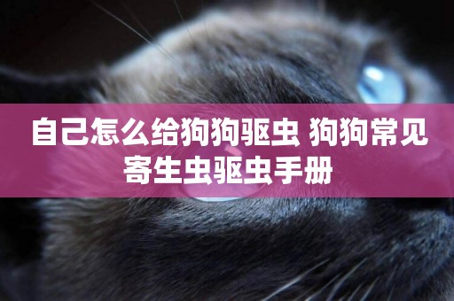 自己怎么給狗狗驅蟲 狗狗常見寄生蟲驅蟲手冊