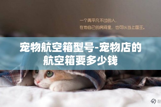 寵物航空箱型號-寵物店的航空箱要多少錢