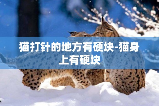 貓打針的地方有硬塊-貓身上有硬塊