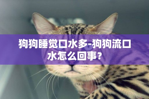 狗狗睡覺口水多-狗狗流口水怎么回事？