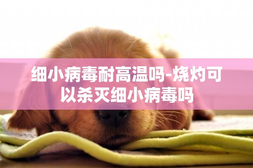細小病毒耐高溫嗎-燒灼可以殺滅細小病毒嗎