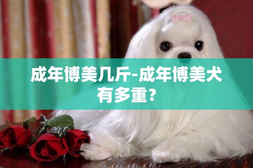 成年博美幾斤-成年博美犬有多重？