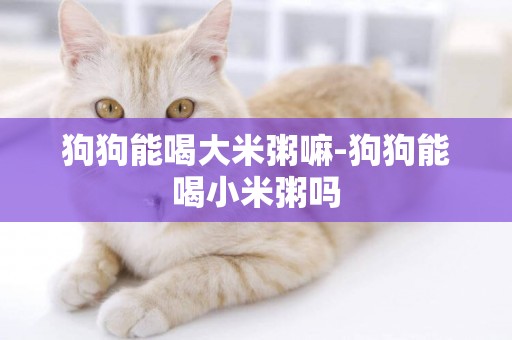狗狗能喝大米粥嘛-狗狗能喝小米粥嗎