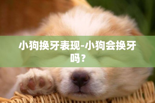 小狗換牙表現-小狗會換牙嗎？