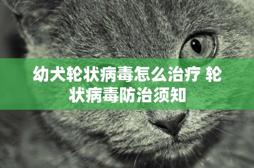 幼犬輪狀病毒怎么治療 輪狀病毒防治須知