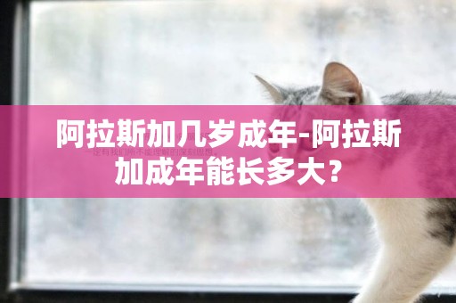 阿拉斯加幾歲成年-阿拉斯加成年能長多大？