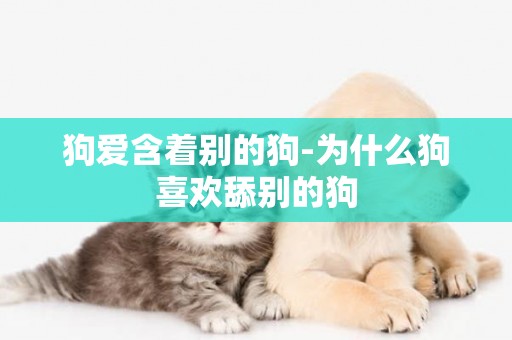 狗愛含著別的狗-為什么狗喜歡舔別的狗