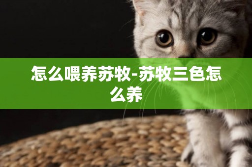 怎么喂養蘇牧-蘇牧三色怎么養