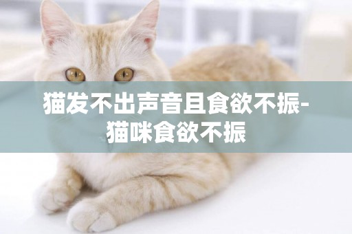 貓發不出聲音且食欲不振-貓咪食欲不振