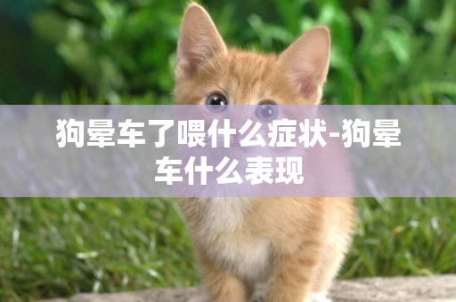 狗暈車了喂什么癥狀-狗暈車什么表現