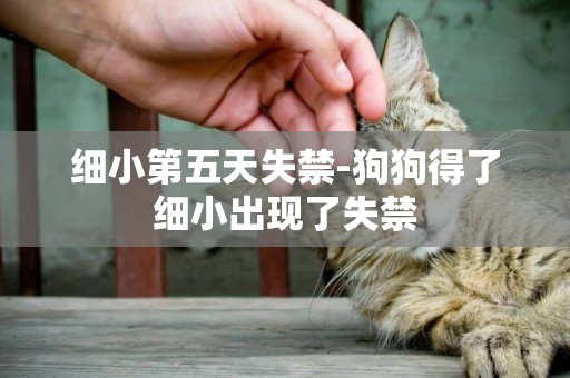 細小第五天失禁-狗狗得了細小出現了失禁