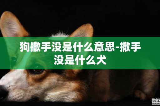 狗撒手沒是什么意思-撒手沒是什么犬
