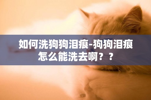 如何洗狗狗淚痕-狗狗淚痕怎么能洗去啊？？