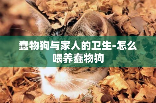 蠢物狗與家人的衛生-怎么喂養蠢物狗
