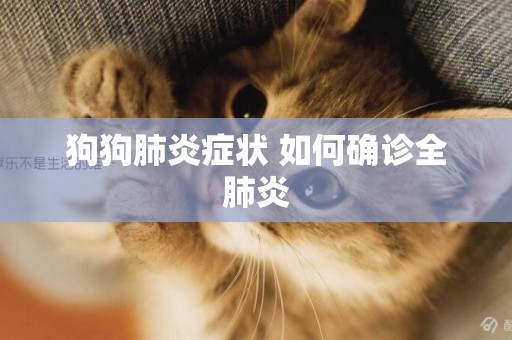 狗狗肺炎癥狀 如何確診全肺炎