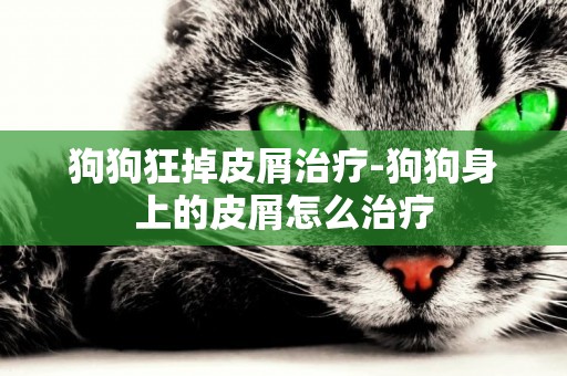 狗狗狂掉皮屑治療-狗狗身上的皮屑怎么治療