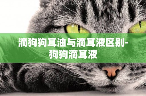 滴狗狗耳油與滴耳液區別-狗狗滴耳液