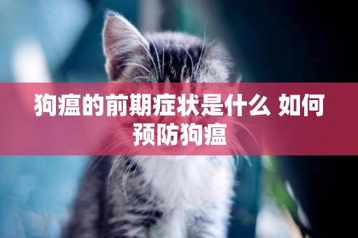 狗瘟的前期癥狀是什么 如何預防狗瘟