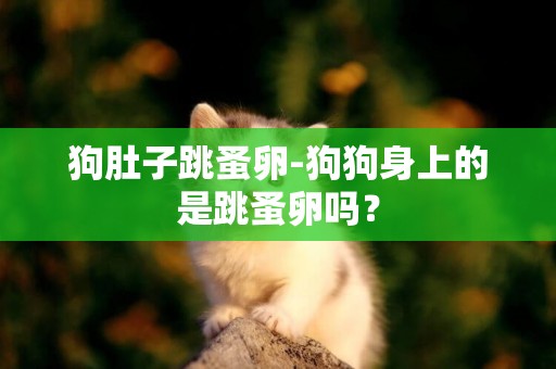 狗肚子跳蚤卵-狗狗身上的是跳蚤卵嗎？