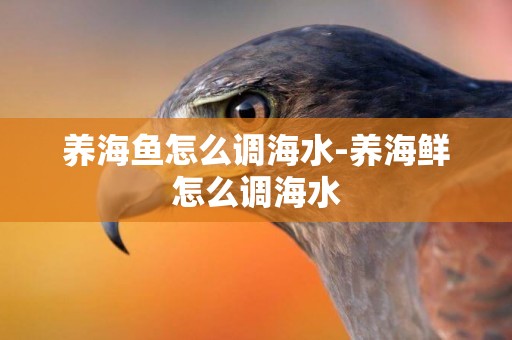 養海魚怎么調海水-養海鮮怎么調海水