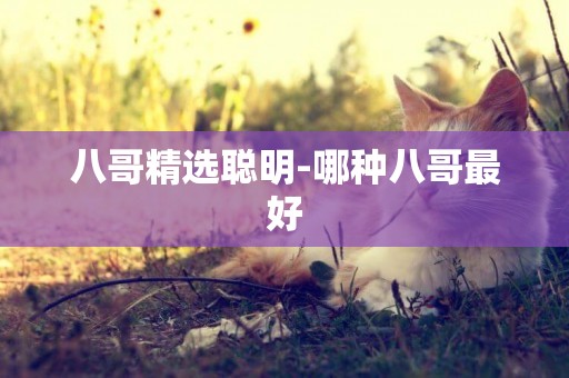 八哥精選聰明-哪種八哥最好