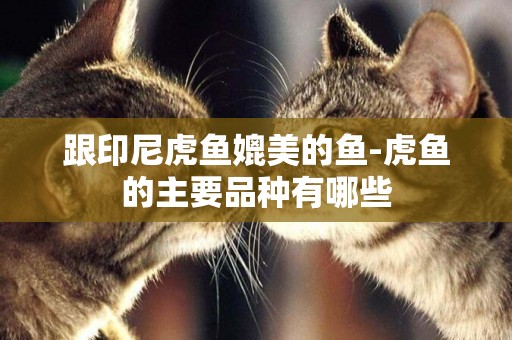 跟印尼虎魚媲美的魚-虎魚的主要品種有哪些