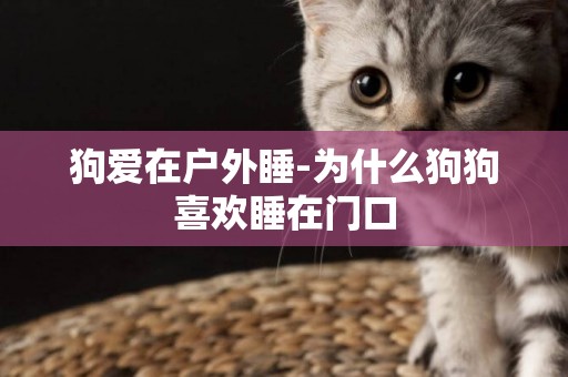 狗愛在戶外睡-為什么狗狗喜歡睡在門口