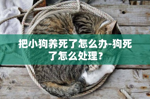 把小狗養死了怎么辦-狗死了怎么處理？