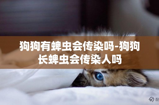狗狗有蜱蟲會傳染嗎-狗狗長蜱蟲會傳染人嗎