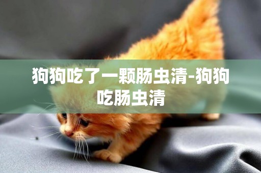 狗狗吃了一顆腸蟲清-狗狗吃腸蟲清
