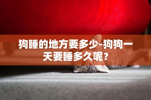 狗睡的地方要多少-狗狗一天要睡多久呢？