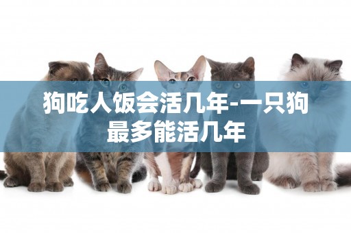 狗吃人飯會活幾年-一只狗最多能活幾年