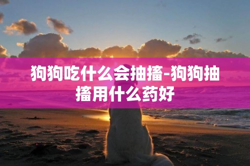 狗狗吃什么會抽搐-狗狗抽搐用什么藥好