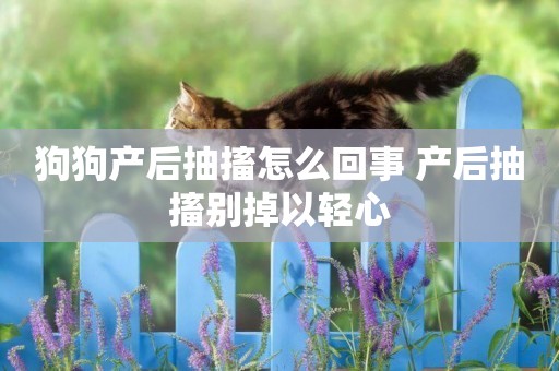 狗狗產后抽搐怎么回事 產后抽搐別掉以輕心