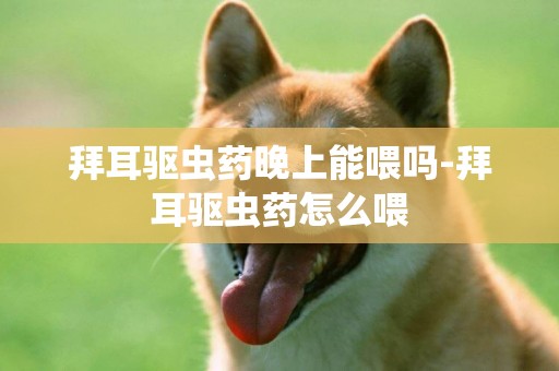 拜耳驅蟲藥晚上能喂嗎-拜耳驅蟲藥怎么喂